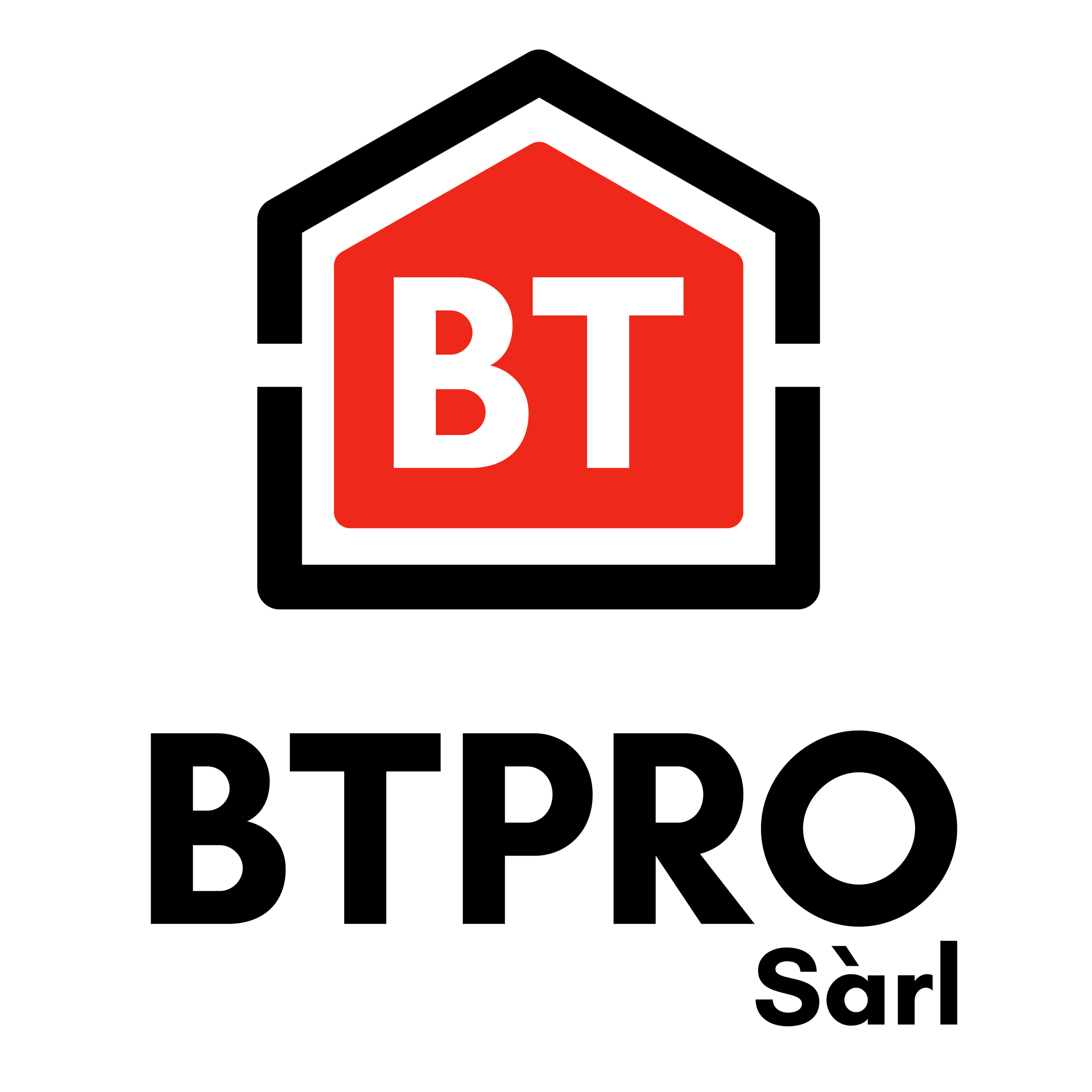 Logo de BT PRO Sàrl