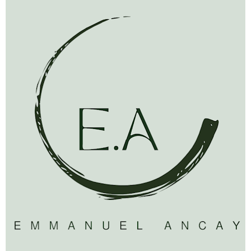 Logo de Emmanuel Ançay Peinture