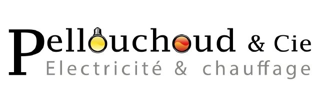 Logo de Pellouchoud et Cie