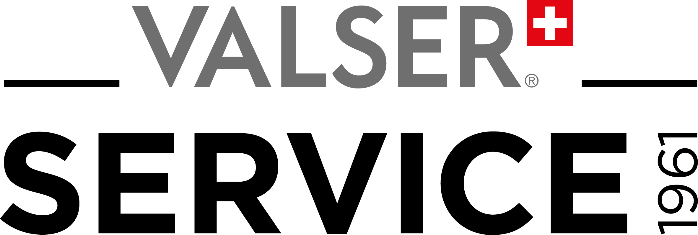 Logo de Valser Service