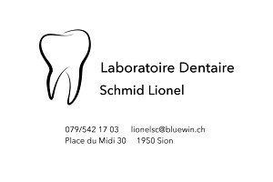 Logo de Laboratoire Dentaire Schmidt Lionel