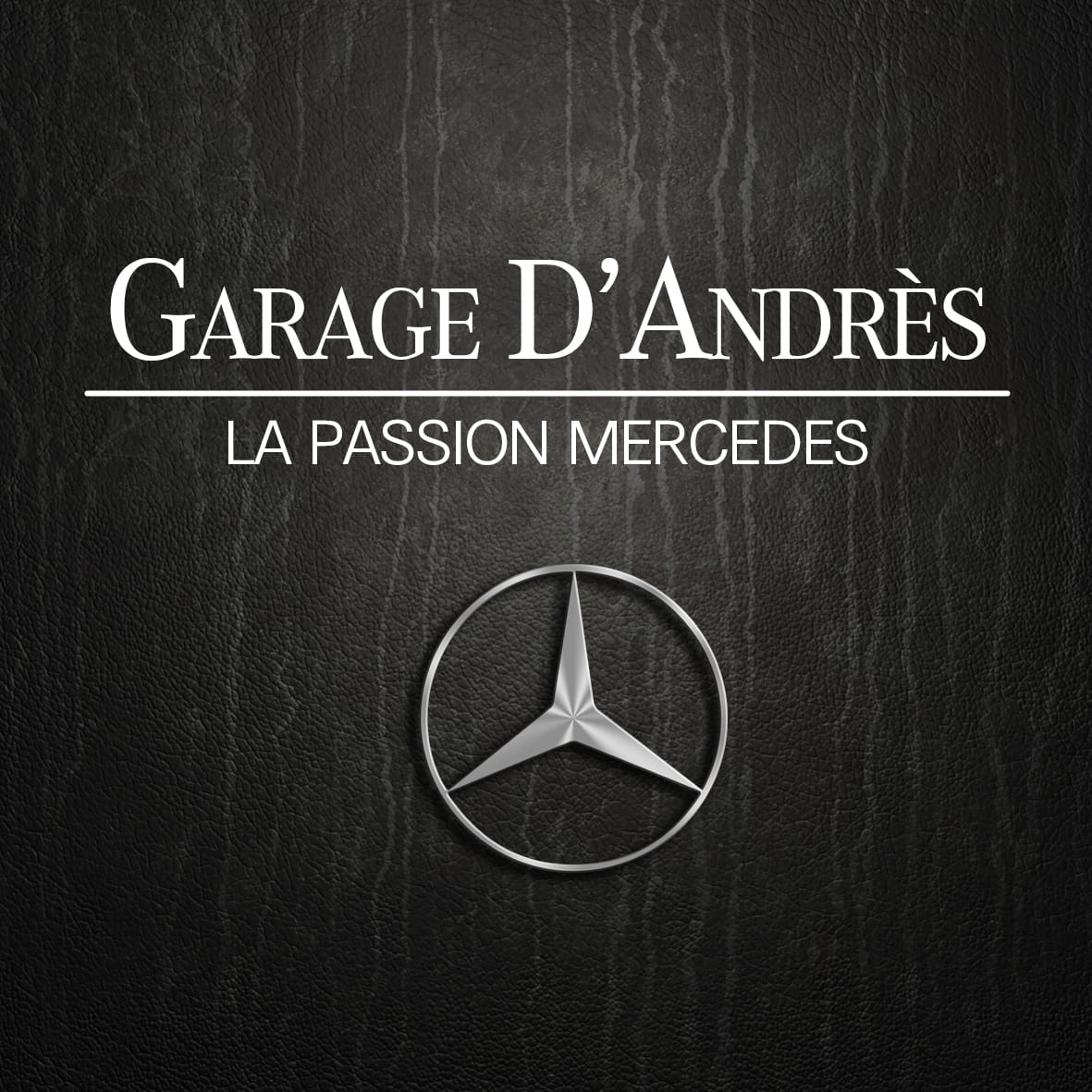 Logo de Centre Automobile Hediger et D'Andrès SA