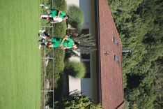 IMG_4071.JPG