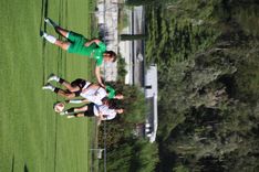 IMG_4147.JPG