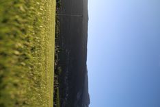 IMG_4298.JPG