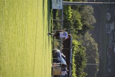 IMG_4307.JPG