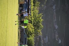 IMG_4310.JPG