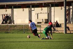 IMG_4378.JPG