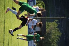 IMG_4381.JPG